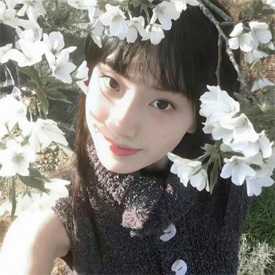 扫黑·决战